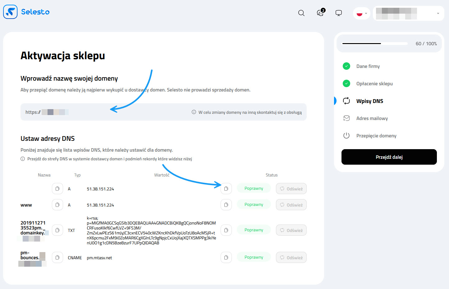 Selesto - zmiana wpisów DNS