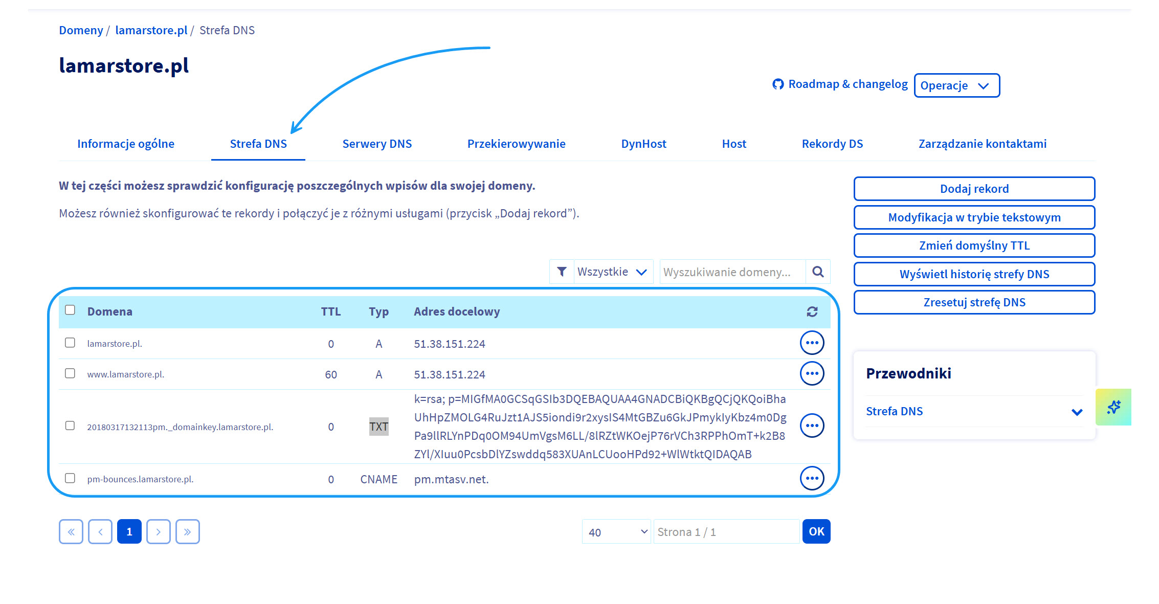 Selesto - przykład poprawnie skonfigurowanych wpisów DNS