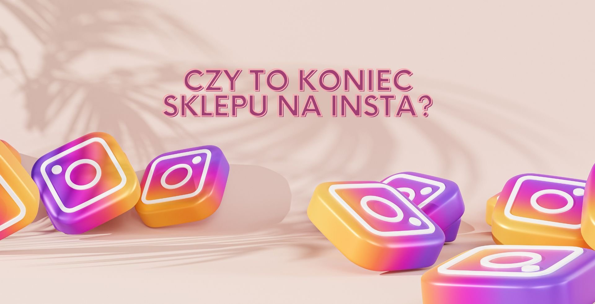 funkcja usunięta fb i insta