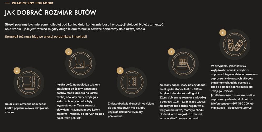 Realizacja strony z infografiką dla sklepu EMEL