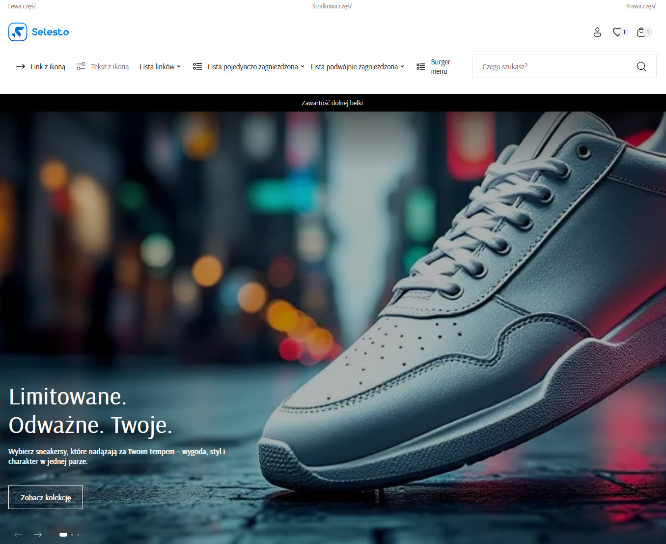 Selesto - przykład sekcji Slider 100