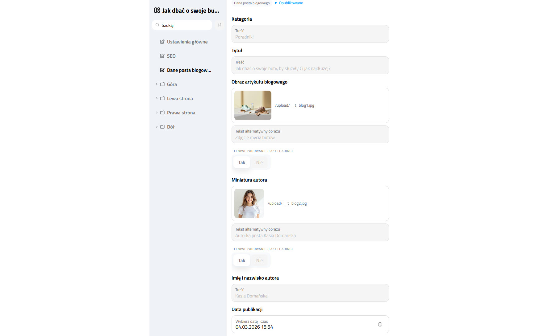 Selesto - Dane posta blogowego