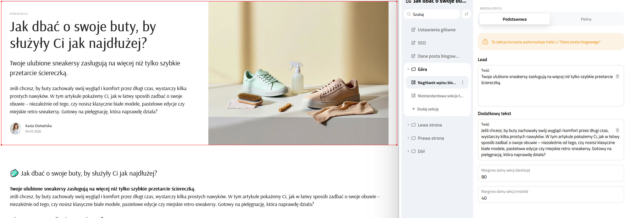 Selesto - Nagłówek wpisu blogowego