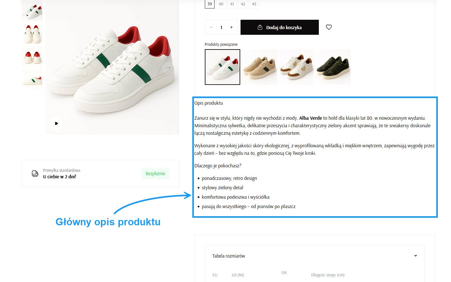 Selesto - sekcja "Główny opis produktu"